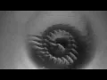 Flying Devil ( David Lynch - Ghost of Love)