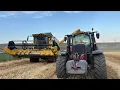 Download Lagu #tractorvlog START CAMPANIE GRÂU?? CE PRODUCȚIE ȘI CE PREȚ AVEM??