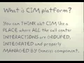 What is CIM