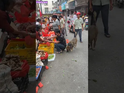Highly intelligent dog meets a stingy gentleman😂
