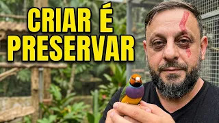 O maior criatório legalizado de pássaros do Brasil ajuda a preservar a natureza, criadouro Buriti