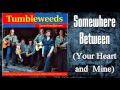 Download Lagu Tumbleweeds - Somewhere Between