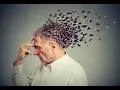 Alzheimer s detection project Alzheimer s Image classification Project Machine learning Python