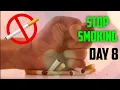 Download Lagu Stop Smoking | Day 8 | Using the NicoDerm CQ Patch #vlog