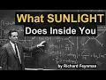 Why Sunlight Is the Most Powerful Drug You Take Every Day