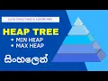 Heap Tree Min heap Max heap Sinhala