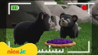 מפרץ ההרפתקאות 🐾: עוגה לדובים | ניק ג'וניור