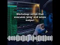 Workshop script that executes ping and saves output CyberSecurity DevSecOps Expert