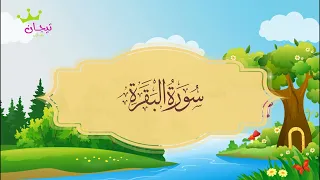آخر آيتين من سورة البقرة   المصحف المعلم للشيخ المنشاوي دندنها