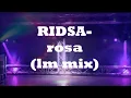 RIDSA-rosa (lm mix) (FRENCH POP ℗2024)