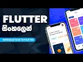 Flutter Tutorial for Beginners 2024 Sinhala - Introduction to Flutter Mobile App Development