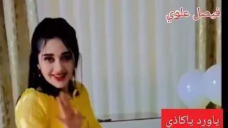 فيصل علوي ياورد ياكاذي 