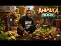 First Look Animula - Nook