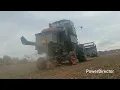 Gleaner F2 in soybeans