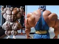 10 Biggest Bodybuilders in the World Gym Fashion