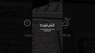 سعد الغامدي سورة النبأ 