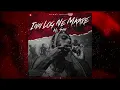 MC STΔN - INN LOG NE MAARE ( Official Audio ) 21