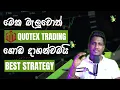 trading view Quotex Trading Strategy