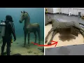 Lagu [Full Story] Diver Found Horse Statue on Seafloor, Hidden Hatch Held Something Disturbing...