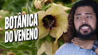Cicuta, ricina e meiendro - Quando plantas viram armas letais