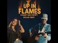 Up In Flames