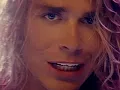 Little Fighter - White Lion