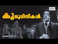 Download Lagu Kumudinikal Kalbham... | Video Song | Veendum Prabhatham | Movie Song | Ft. Prem Nazer, Vijayasree
