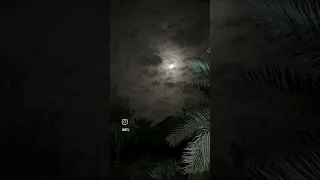 ظلموكي لمل قالوا انتي للقمر شبيه 