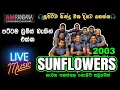 Download Lagu SUNFLOWER LIVE SHOW 2003 පැරණි සන්ෆ්ලවර්ස්   RECREATED QUALITY SOUNDS