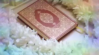 خفق  الفؤاد  بأضل عي وشجاني دندنها