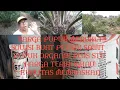Download Lagu Pesona Kuansing//Pupuk Organik Plus STU Untuk Pohon Kelapa Sawit Mantap Sekali