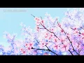Austin Snell - Colors (8D Audio)