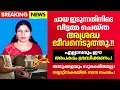 Download Lagu അടുക്കളയിൽ ചായ ഇടാൻ പോയ വീട്ടമ്മയ്ക്ക് സംഭവിച്ചത്.!