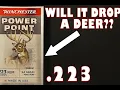 223 WILL IT DROP A DEER WINCHESTER POWER POINTS