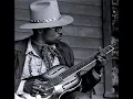 TAJ MAHAL - Leaving Trunk