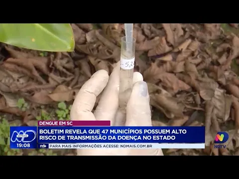 Alerta em Santa Catarina: 47 municípios com alto risco de transmissão da dengue