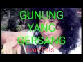 Lagu LAGU GHOIB IWAN FALS - GUNUNG YANG TELAH LAMA GERSANG