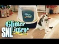 Cut for Time Glitter Litter Automatic Litter - SNL