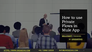 MuleSoft Training MuleSoft Private Flow MuleSoft Tutorial For Beginners