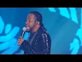Xande de Pilares - Coração Radiante (Ao Vivo No Rio De Janeiro / 2019)
