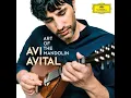 Beethoven: Adagio for Mandolin and Harpsichord in E Flat Major, WoO 43b (Transcr. for Mandolin and Harp) - Avi Avital, Anneleen Lenaerts & Ludwig van Beethoven