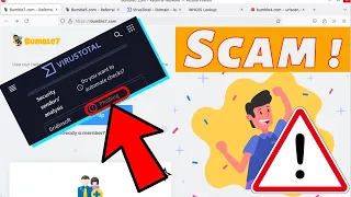 Bumble7 com Reviews Scam or Legit Support Referral Details