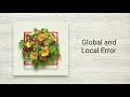 Global and Local Error