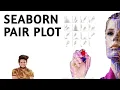 Seaborn Pair Plot in Hindi Python Seaborn Machine Learning Tutorial