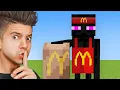 Download Lagu Minecraft Mobs If They Had Jobs