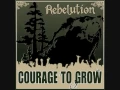 Rebelution- Heart Like A Lion