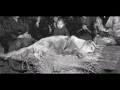 Lagu Homenagem a Hachiko, após 80 anos, o tão esperado reencontro de Hachi e seu dono ♥