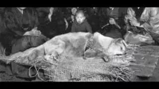 homenagem a hachiko ap s 80 anos o t o esperado reencontro de hachi e seu dono 