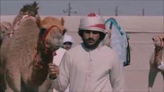 I Found Home Song Mehad Hamad لقيت الدار ميحد حمد 