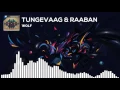 [EDM] - [Tungevaag & Raaban] - [Wolf] - (Original Song)